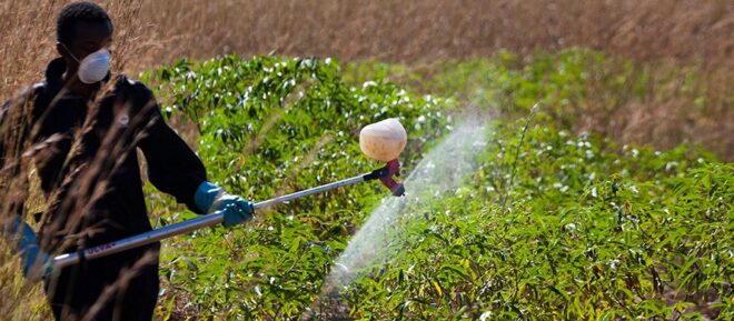 Predicted Growth for UAE Pesticide Market , Expected to Reach billions by 2017-2027