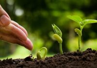 United Kingdom Agricultural Microbials Market | Latest Research Reveals Key Trends for Business Growth