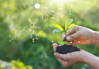 United Kingdom Biopesticides Market : Opportunities, Size and Growth Projections in Upcoming Years