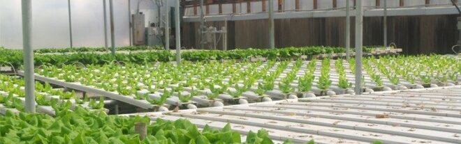 Predicted Growth for United Kingdom Greenhouse Market , Expected to Reach billions by 2017-2027