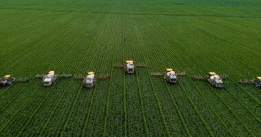 Predicted Growth for United Kingdom Precision Farming Market , Expected to Reach billions by 2017-2027