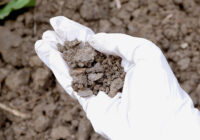 United Kingdom Soil Treatment Market 2017-2027: Trends, Opportunities, and Forecasts | TechSci Research