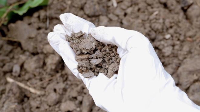 United Kingdom Soil Treatment Market 2017-2027: Trends, Opportunities, and Forecasts | TechSci Research