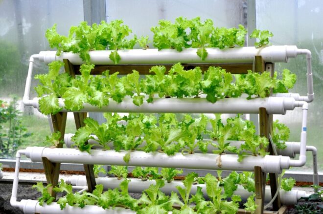 Vietnam Hydroponics Market 2017-2027: Emerging Opportunities | TechSci Research