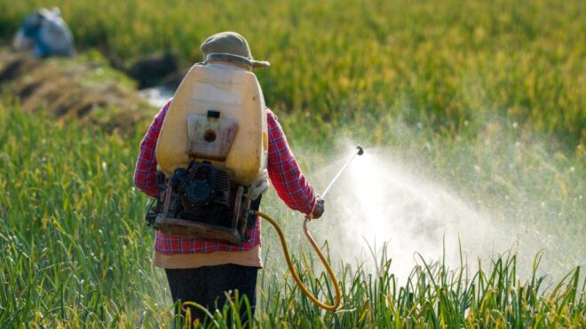 Vietnam Pesticides Market | Latest Research Reveals Key Trends for Business Growth