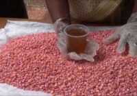 Australia Seed Treatment Market - Growth Drivers & Opportunities 2015-2025