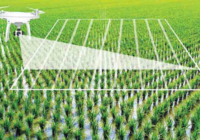 China AI in Agriculture Market : Exploring Opportunities with Market Size and Growth Projections