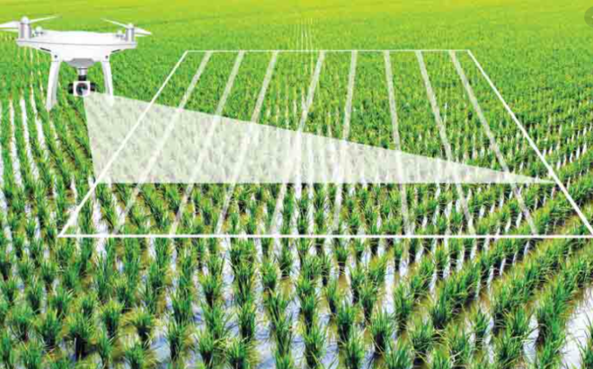 China AI in Agriculture Market : Exploring Opportunities with Market Size and Growth Projections