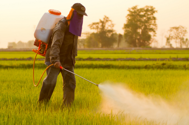 China Insecticides Market 2017-2027: Regional Analysis and Forecast | TechSci Research