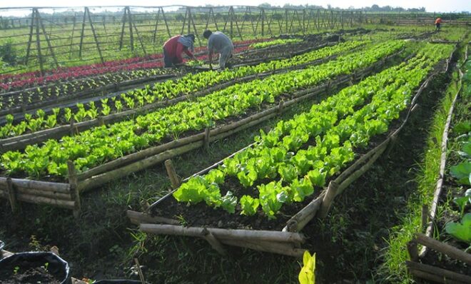 Crowd Farming Market Is Likely to Experience a Tremendous Growth by 2016-2026