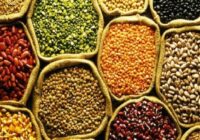 Europe Seeds Market 2015-2025 : Trends, Opportunities & Forecast
