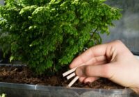 Billion $ Global Opportunity for Fertilizer Sticks Market for 2017-2027 - New Research from TechSci Research