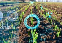 Germany AI in Agriculture Market : Exploring Opportunities with Market Size and Growth Projections