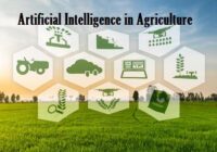 Global AI in Agriculture Market : Opportunities, Size and Growth Projections in Upcoming Years