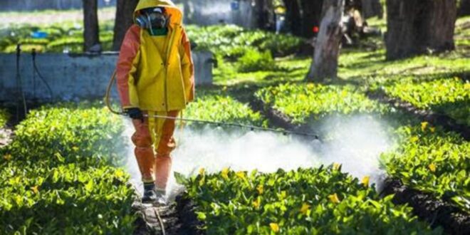 Global Agricultural Fumigants Market 2015-2025 : Emerging Opportunities | TechSci Research
