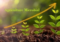 Global Agricultural Microbials Market Is Likely to Experience a Tremendous Growth by 2015-2025