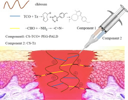 Global Bioadhesives Market 2028 - Trends, Opportunities & Forecast