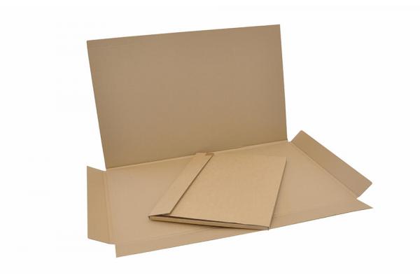 Global Mailer Packaging Market - Opportunities, Size & Growth Projections