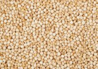 Global Quinoa Seeds Market Set to Surpass Billions by 2016-2026 – TechSci Research