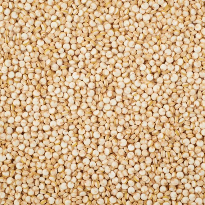 Global Quinoa Seeds Market Set to Surpass Billions by 2016-2026 – TechSci Research