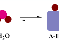 Hydrolase Enzymes Market 2028 – Forecast & Projected Growth