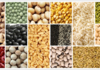 India Agricultural Commodities Market : Opportunities with Market Size & Growth