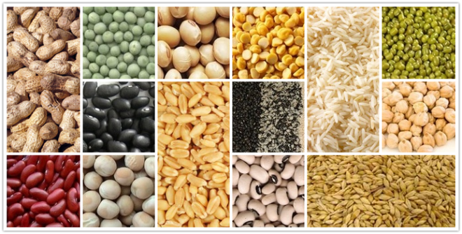 India Agricultural Commodities Market : Opportunities with Market Size & Growth