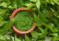 India Neem Extracts Market : Opportunities, Size and Growth Projections in Upcoming Years