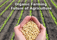 India Organic Farming Market : Predicted Rapid Growth with Trends, Competition, and Opportunity Analysis