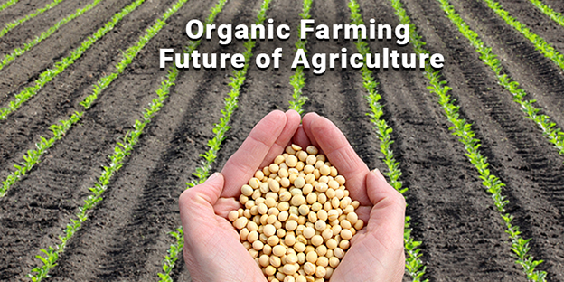 India Organic Farming Market : Predicted Rapid Growth with Trends, Competition, and Opportunity Analysis