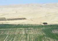 Middle East & Africa Desert Farming Market Forecast 2018-2028: Projected Growth and Opportunities | TechSci Research