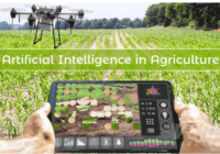 Netherlands AI in Agriculture Market Projections Show Impressive CAGR for 2017-2027