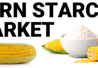 Saudi Arabia Corn starch Market Set to Surpass Billions by 2017-2027 – TechSci Research