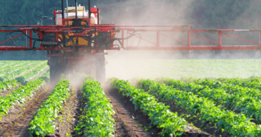 Saudi Arabia Pesticides Market Forecast 2017-2027: Projected Growth and Opportunities | TechSci Research