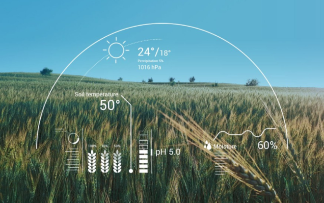 Thailand AI in Agriculture Market : Analysis of Industry Size, Share, and Competition