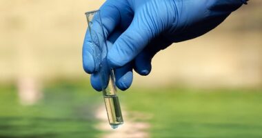 United States Environmental Testing Market 2015-2025 : Regional Analysis and Forecast | TechSci Research