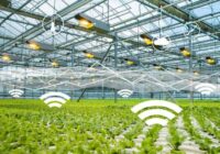 United States Smart Greenhouse Market 2017-2027: Regional Analysis and Forecast | TechSci Research