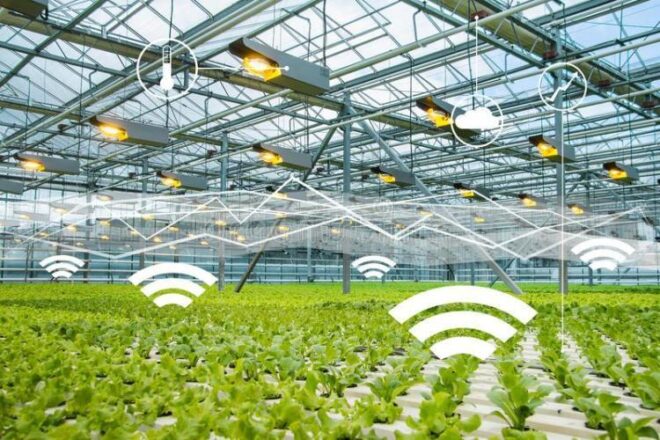 United States Smart Greenhouse Market 2017-2027: Regional Analysis and Forecast | TechSci Research