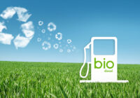 Biodiesel Market 2028: Analysis & Growth with Trends