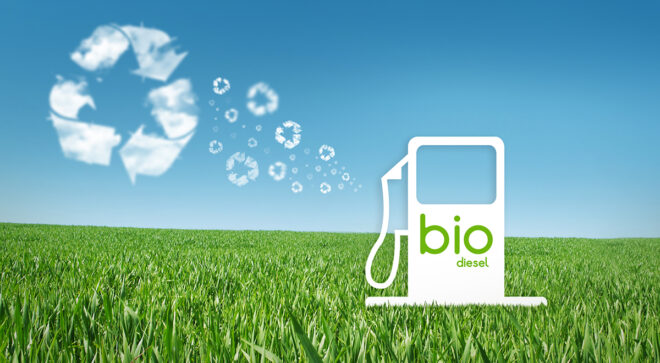 Biodiesel Market 2028: Analysis & Growth with Trends