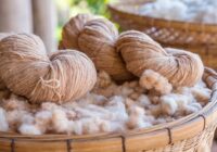 Global Eco Fiber Market 2028 - Share, Trends & Forecast