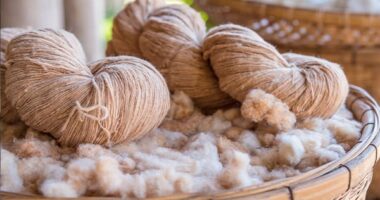 Global Eco Fiber Market 2028 - Share, Trends & Forecast