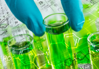 Global Bio-Based Chemicals Market - Overview, Industry Growth, Size & Forecast