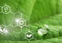 Green Chemicals Market - Opportunities, Size & Growth Projections