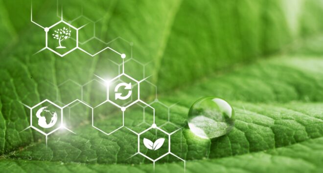 Green Chemicals Market - Opportunities, Size & Growth Projections