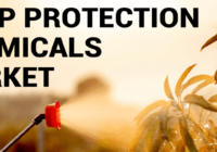 Crop Protection Chemicals Market - Overview, Industry Growth, Size & Forecast