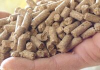 Germany Animal Feed Market - Analysis, Industry Size & Share