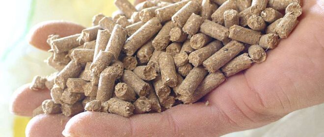 Germany Animal Feed Market - Analysis, Industry Size & Share