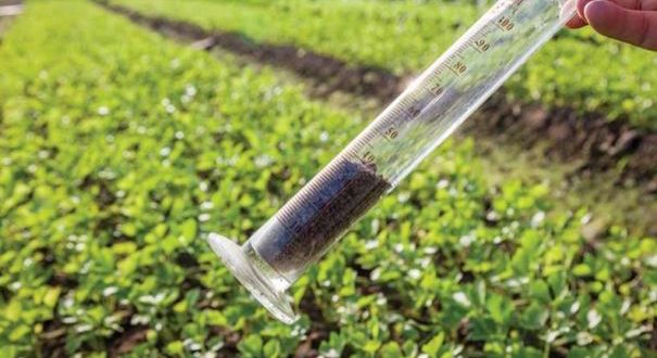 Global Agricultural Testing Market 2025: Analysis & Growth with Trends