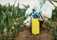 Global Nematicides Market 2025: Analysis & Growth with Trends